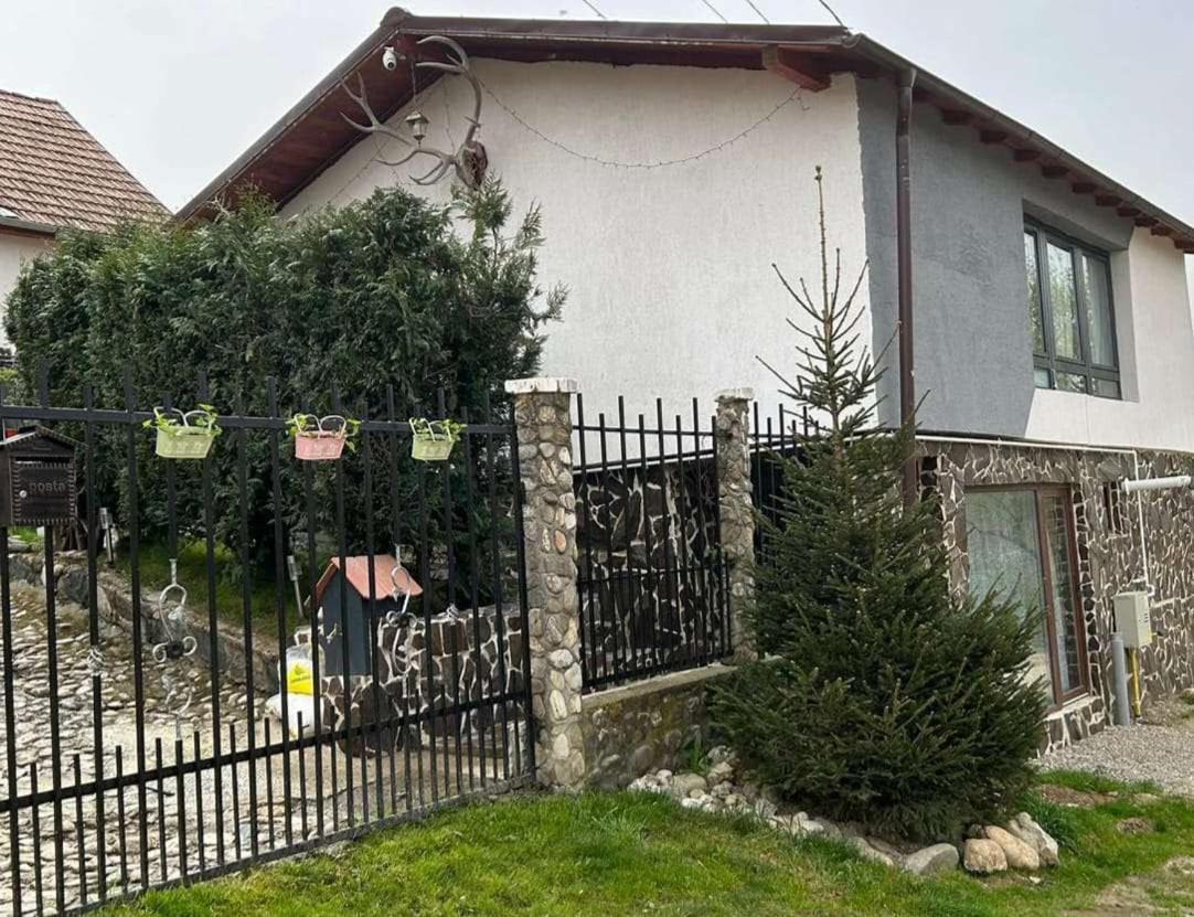 Cazare La Luiza B Sura Mare Exterior foto