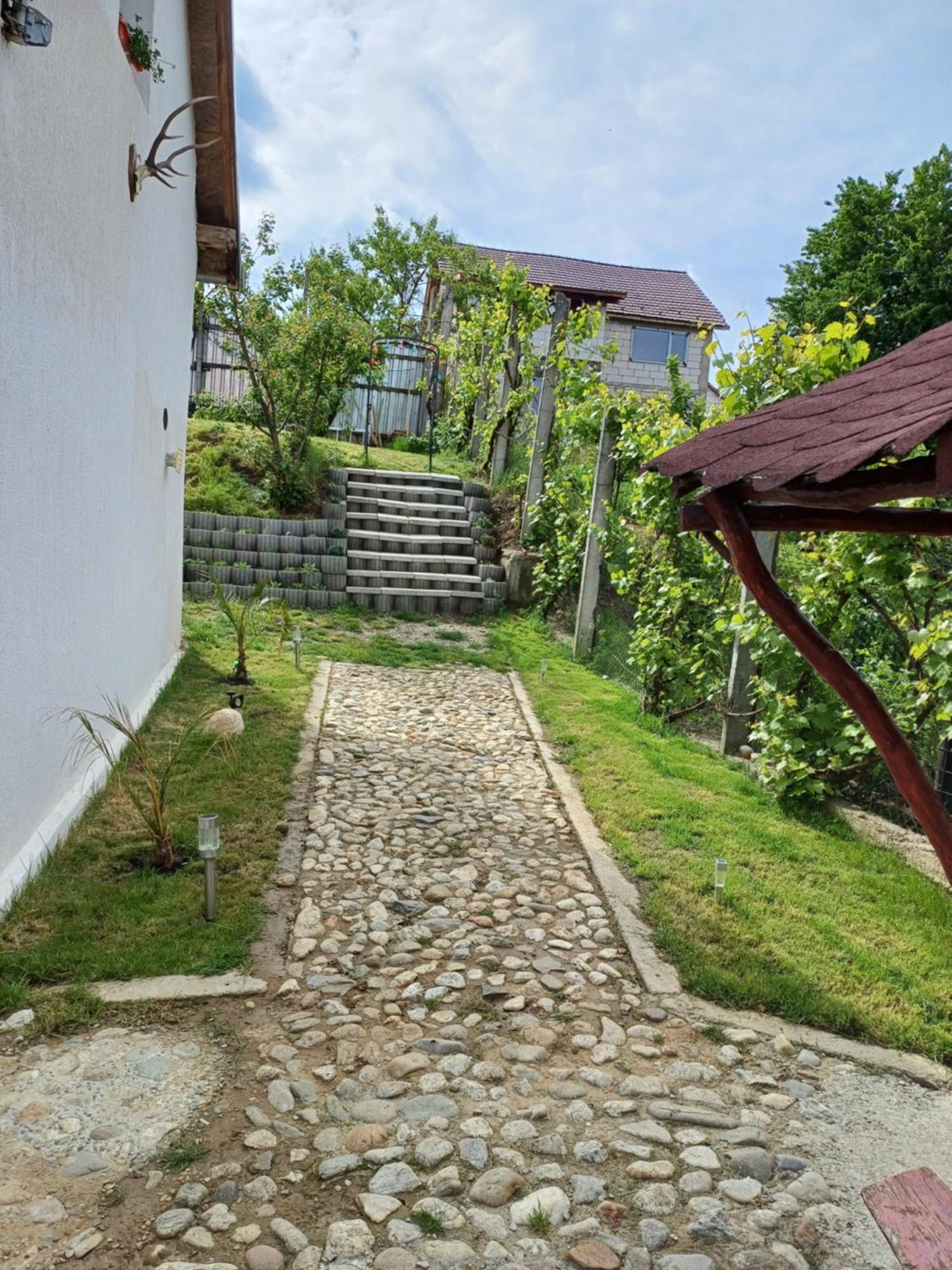 Cazare La Luiza B Sura Mare Exterior foto