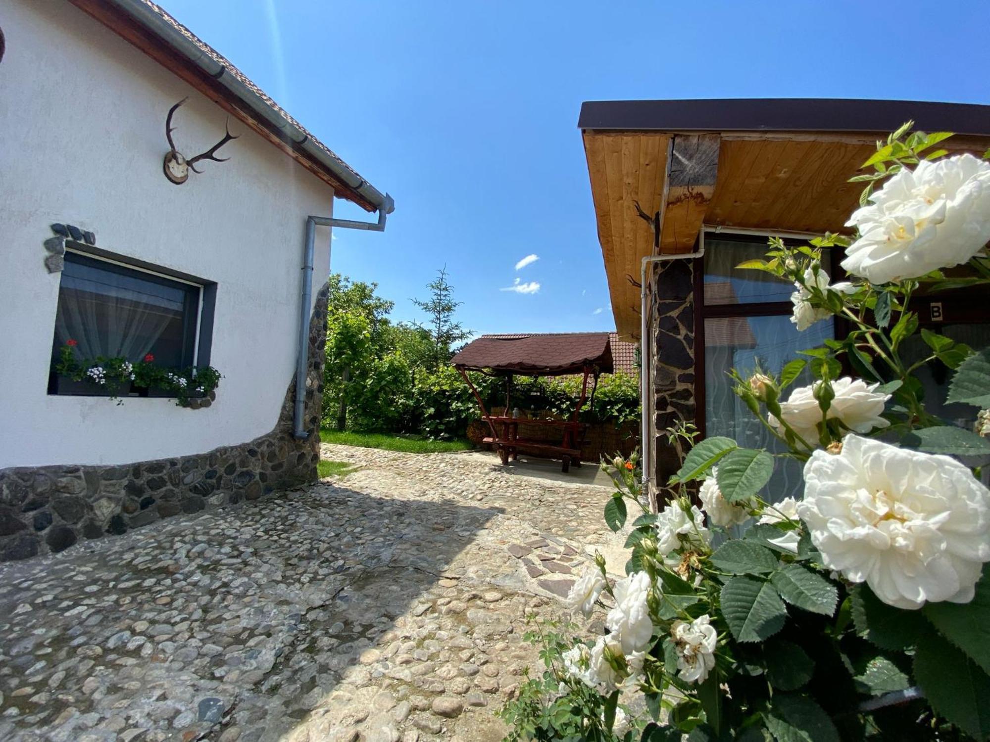 Cazare La Luiza B Sura Mare Exterior foto