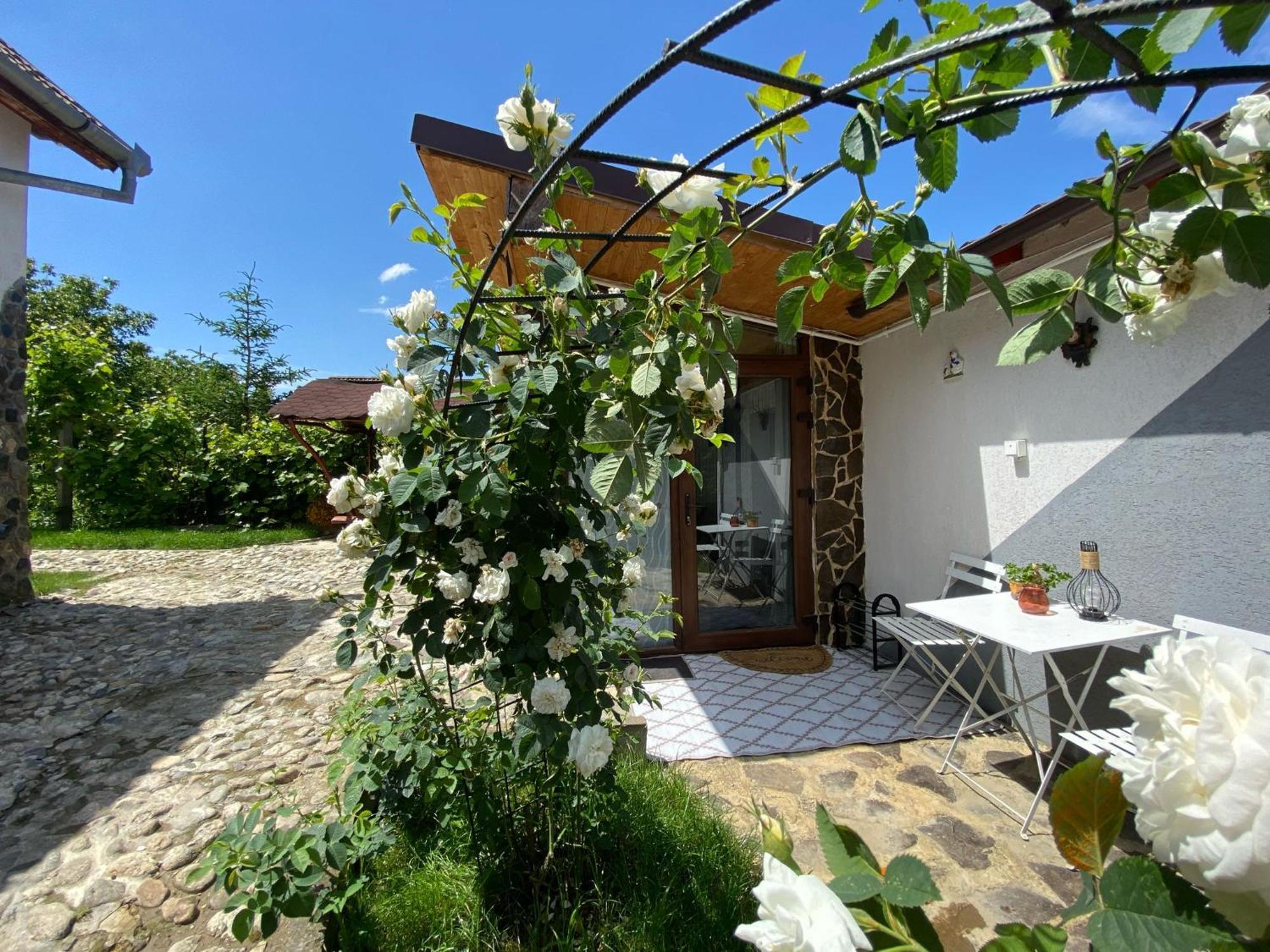 Cazare La Luiza B Sura Mare Exterior foto