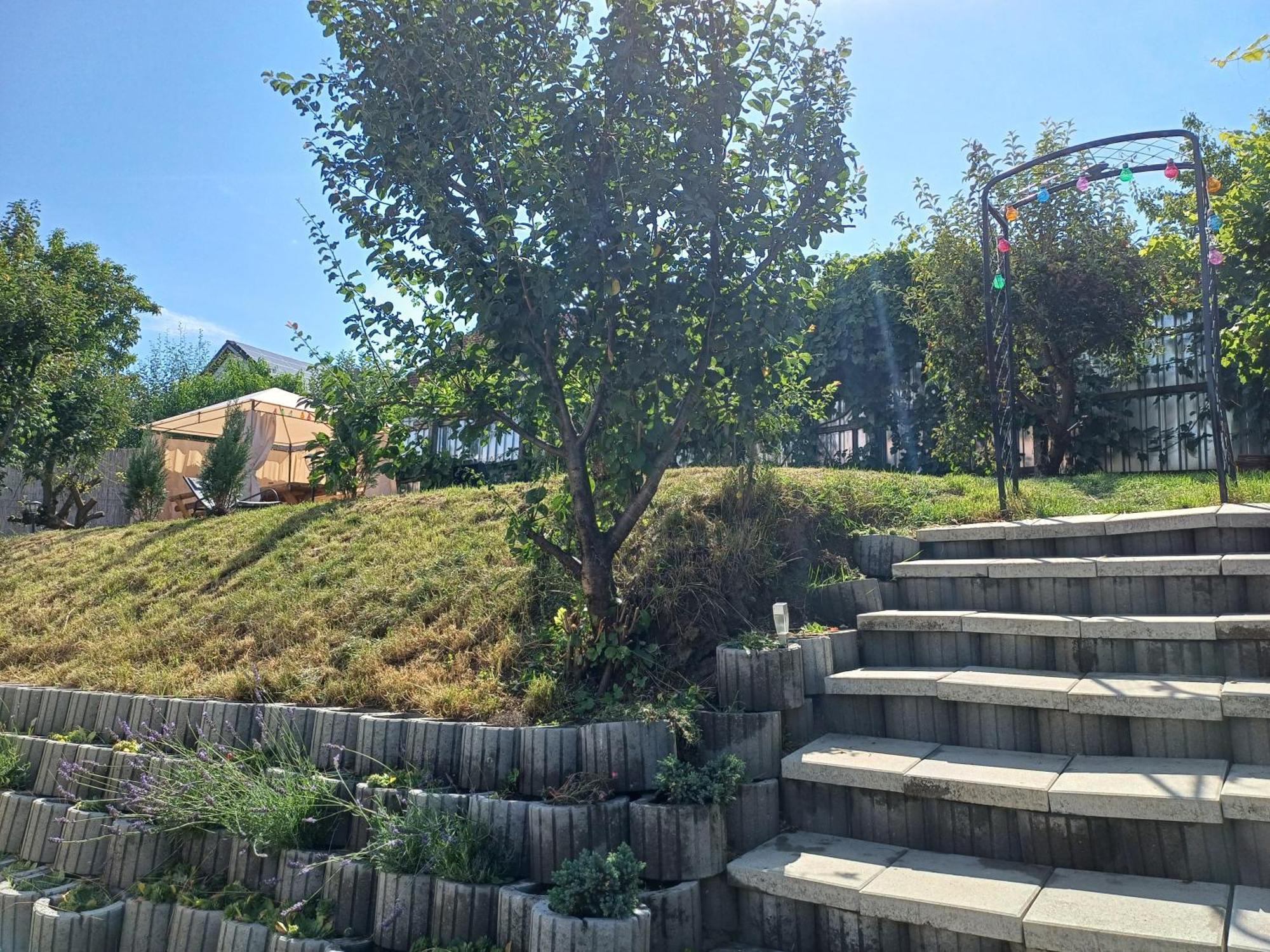 Cazare La Luiza B Sura Mare Exterior foto